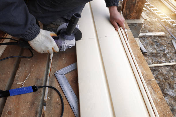 Best Fascia and Soffit Installation  in Georgetown, CO
