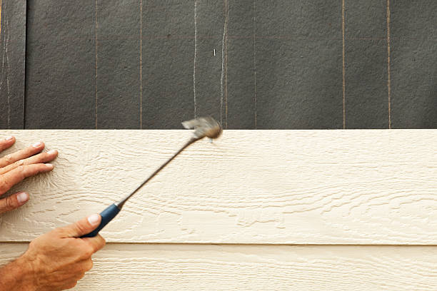 Best Steel Siding Installation  in Georgetown, CO